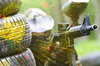 Paint ball 2