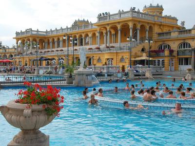 Bain buda