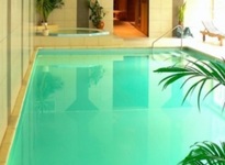 Wellness