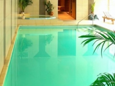 Wellness