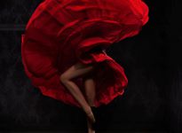 Flamenco0
