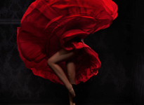 Flamenco