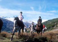 Balade en cheval valence
