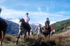 Balade en cheval valence