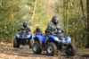 Quad