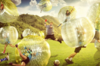 Bubble foot