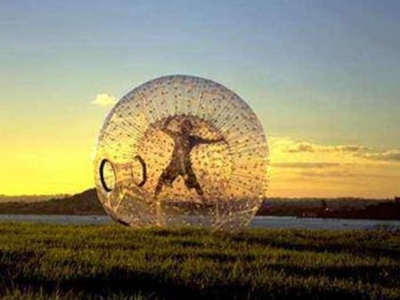 Zorbing voyage event