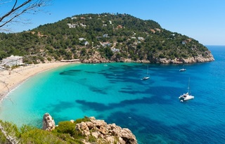 Palma